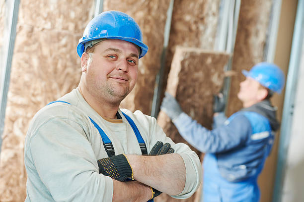 Best Energy Efficiency Solutions in Alton, IL